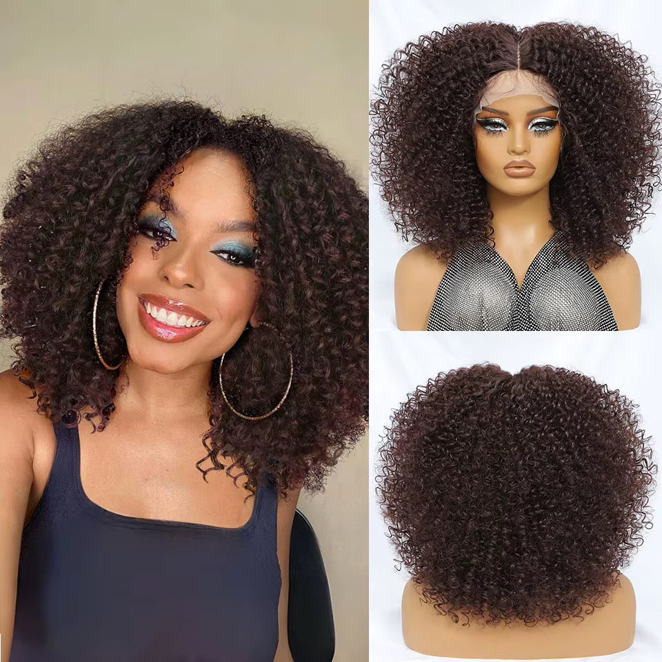 Kinky Curly Frontal Wig

13x6 • HD Lace • Glueless • Premium Synthetic Fiber