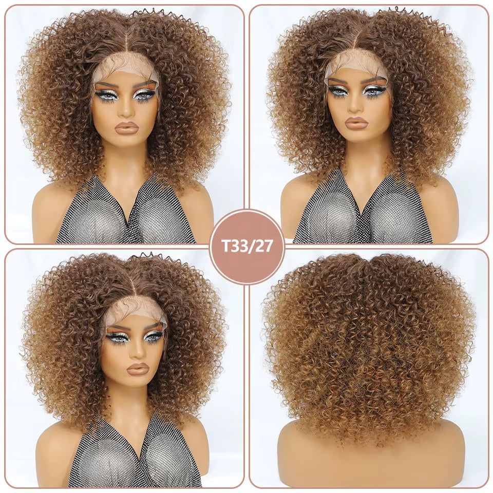 Kinky Curly Frontal Wig

13x6 • HD Lace • Glueless • Premium Synthetic Fiber
